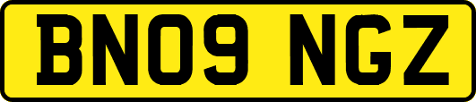 BN09NGZ