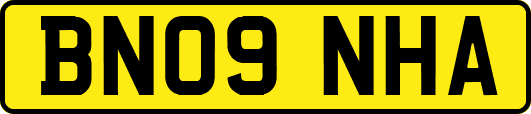 BN09NHA
