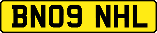 BN09NHL