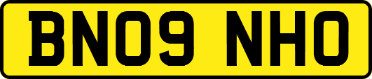 BN09NHO