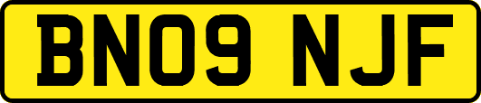 BN09NJF