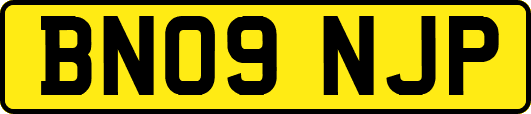 BN09NJP