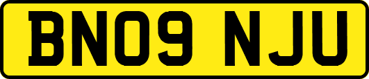 BN09NJU