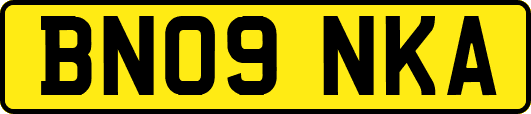 BN09NKA