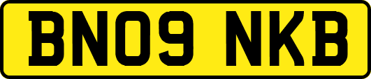 BN09NKB