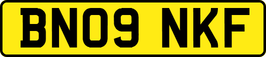 BN09NKF
