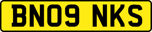 BN09NKS