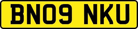 BN09NKU
