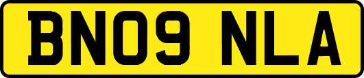 BN09NLA