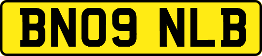 BN09NLB