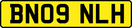 BN09NLH