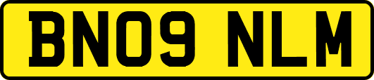 BN09NLM