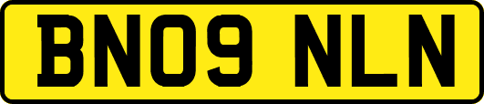 BN09NLN