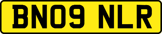 BN09NLR