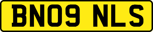 BN09NLS