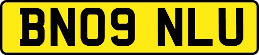 BN09NLU
