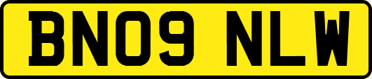 BN09NLW