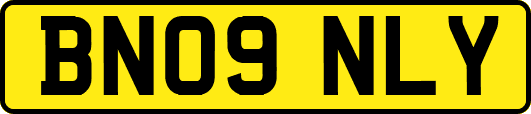 BN09NLY