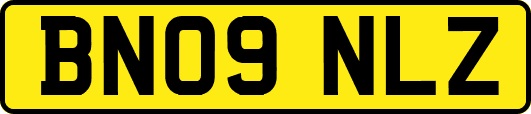 BN09NLZ