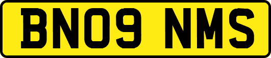 BN09NMS