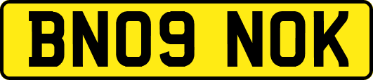 BN09NOK
