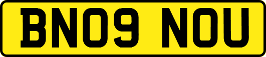 BN09NOU