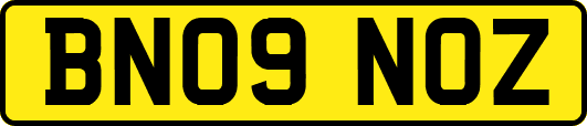BN09NOZ