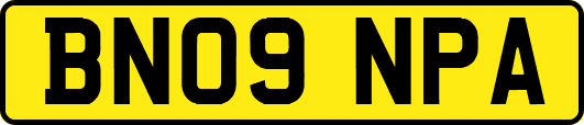 BN09NPA