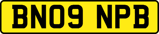 BN09NPB