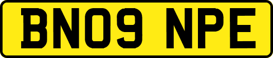 BN09NPE