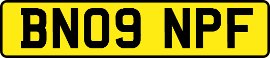 BN09NPF