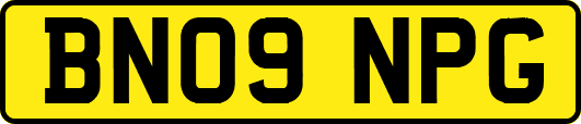 BN09NPG