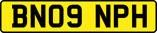 BN09NPH