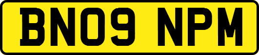 BN09NPM