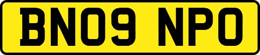 BN09NPO