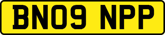 BN09NPP