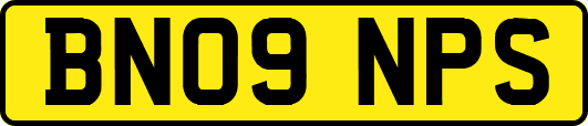 BN09NPS