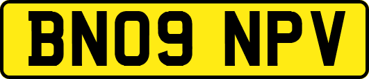 BN09NPV