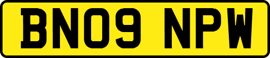 BN09NPW