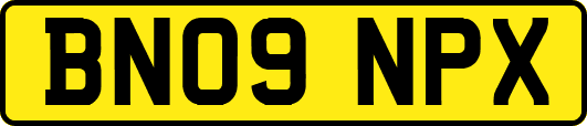 BN09NPX