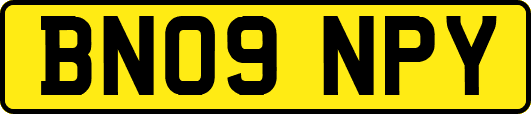 BN09NPY