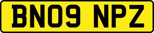 BN09NPZ