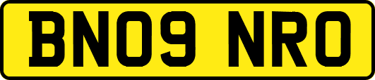 BN09NRO