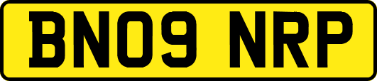 BN09NRP