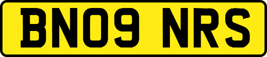 BN09NRS