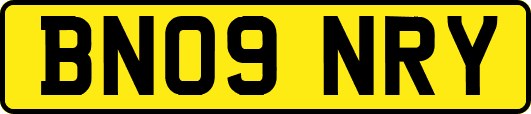 BN09NRY