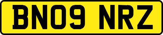 BN09NRZ