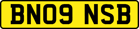 BN09NSB