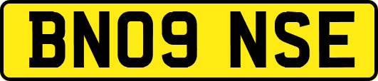 BN09NSE