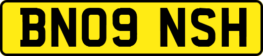 BN09NSH